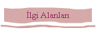lgi Alanlar